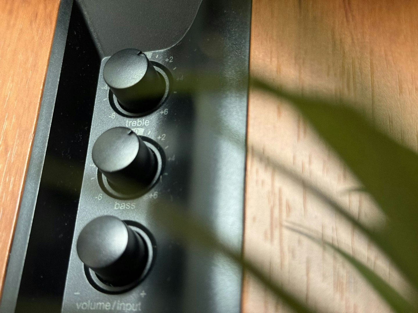 Edifier R1289DB Bookshelf speaker treble, bass and volume knobs next to a plant  - one of the best bookshelf speakers of 2025