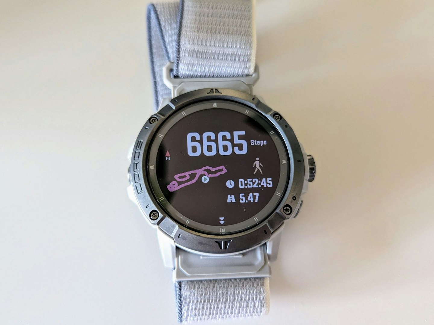 Coros Vertix 2S displaying metrics after a walk