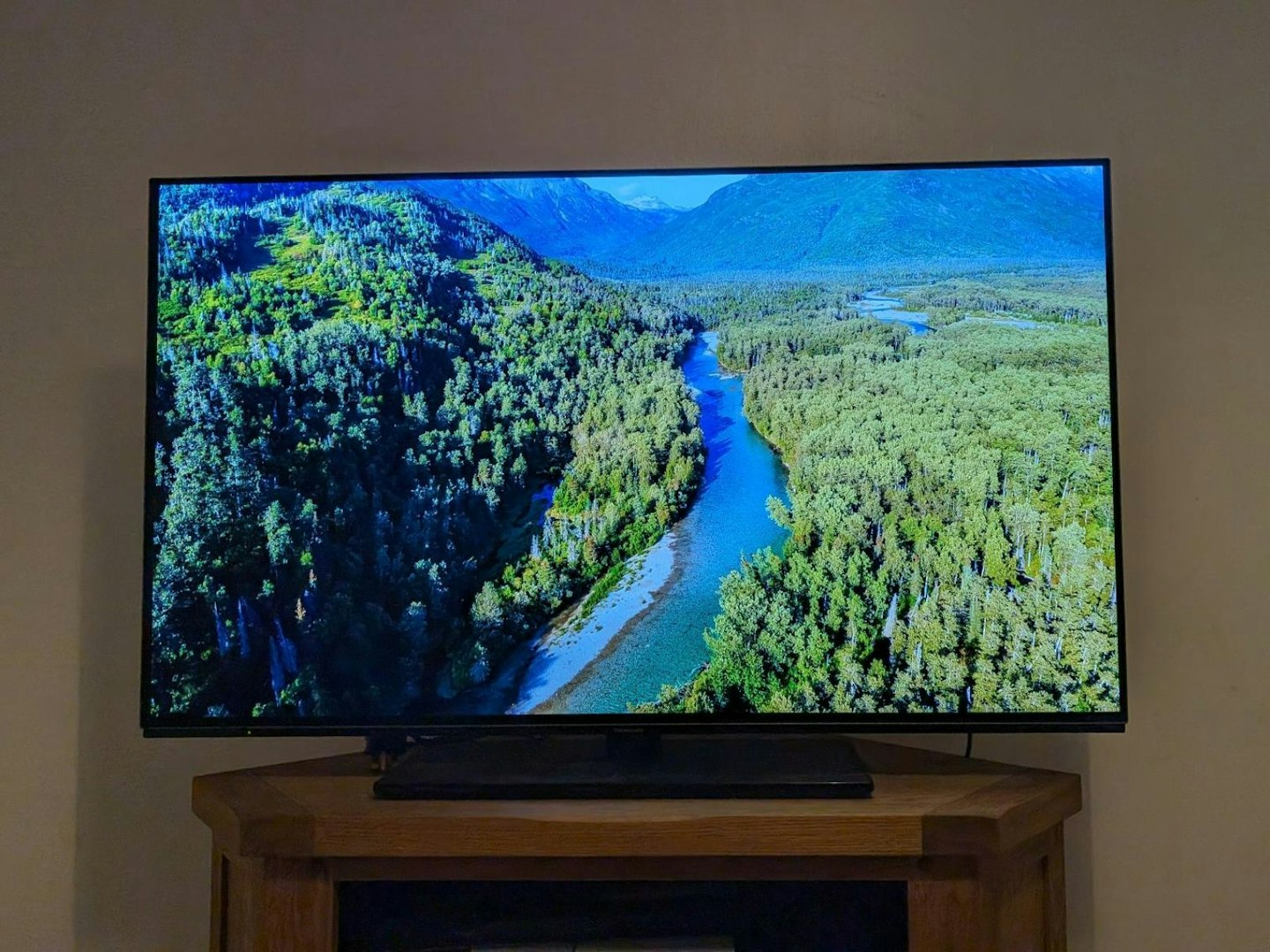 Panasonic 48-inch OLED TV