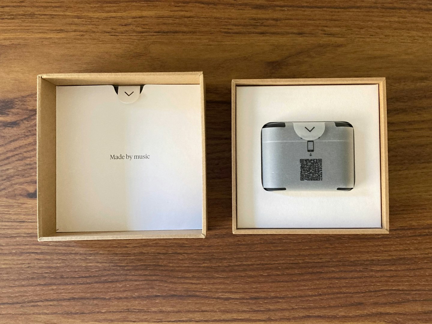 Cambridge Audio Melomania A100 earbuds in box