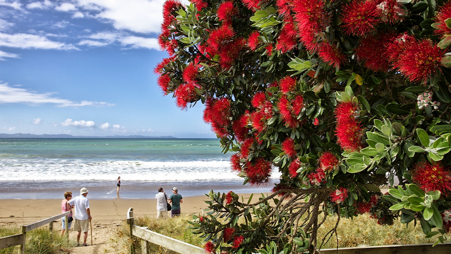 Christmas in new zealand