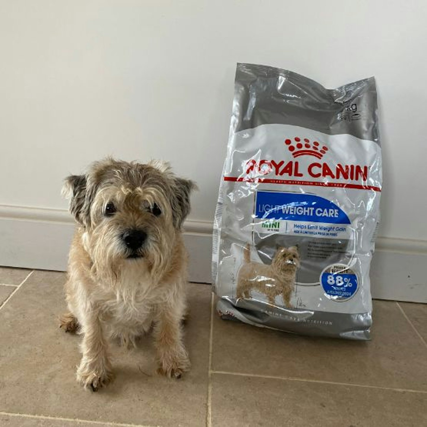Royal Canin Canine Care Light Weight Mini Breed Dry Adult Dog Food
