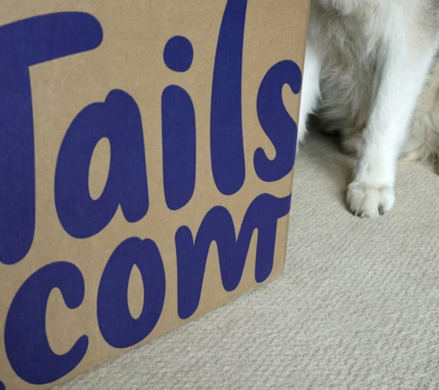 A box of Tails.com dry dog food 