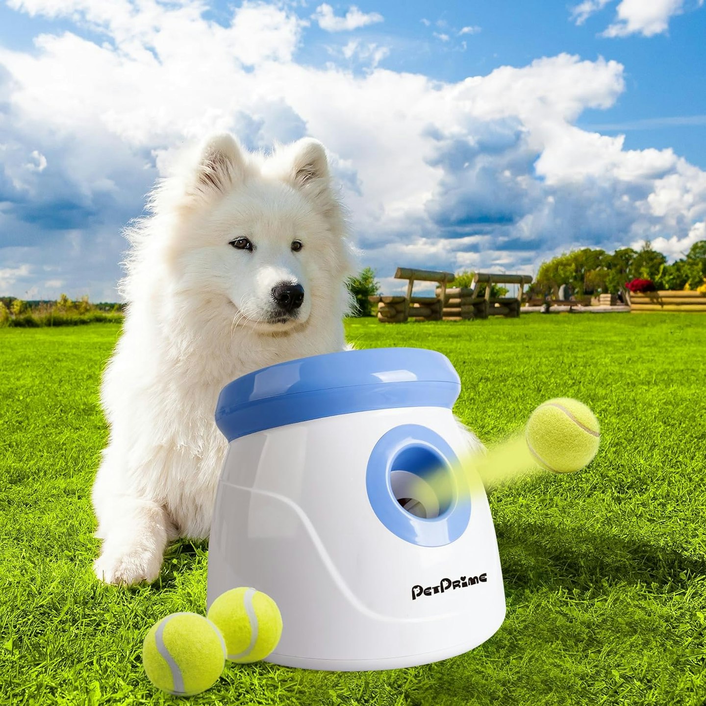 pet prime Automatic Dog Ball Launcher