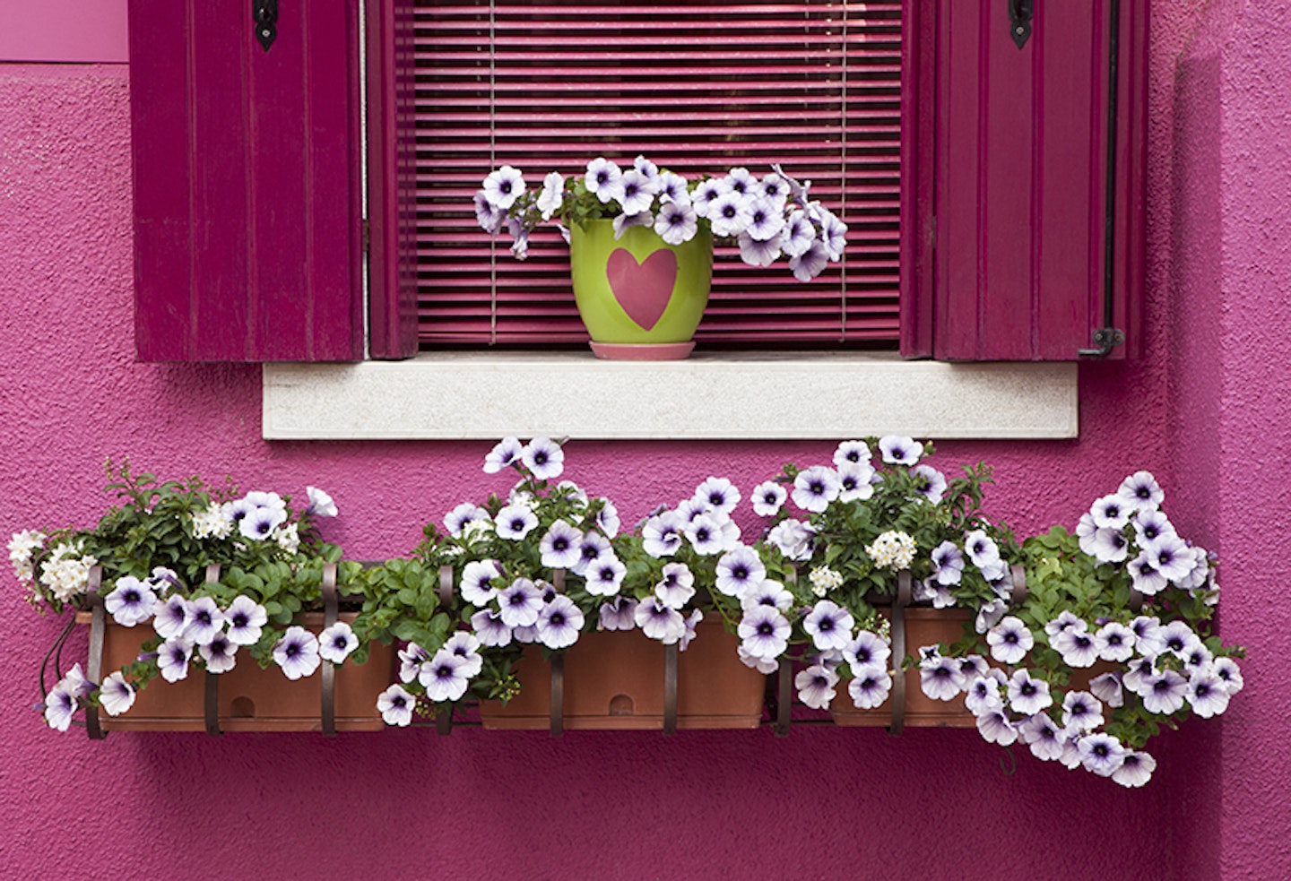 window box