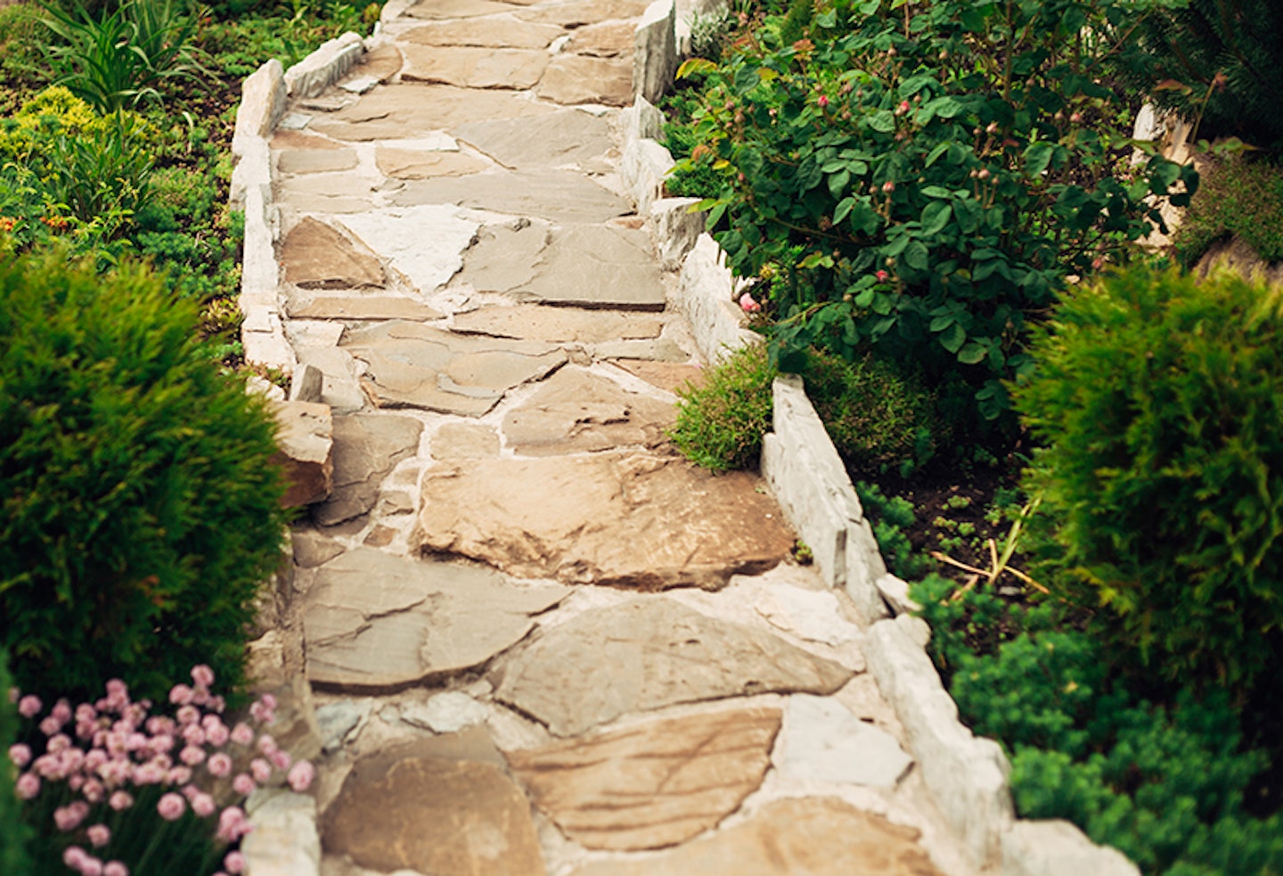 garden path no lawn