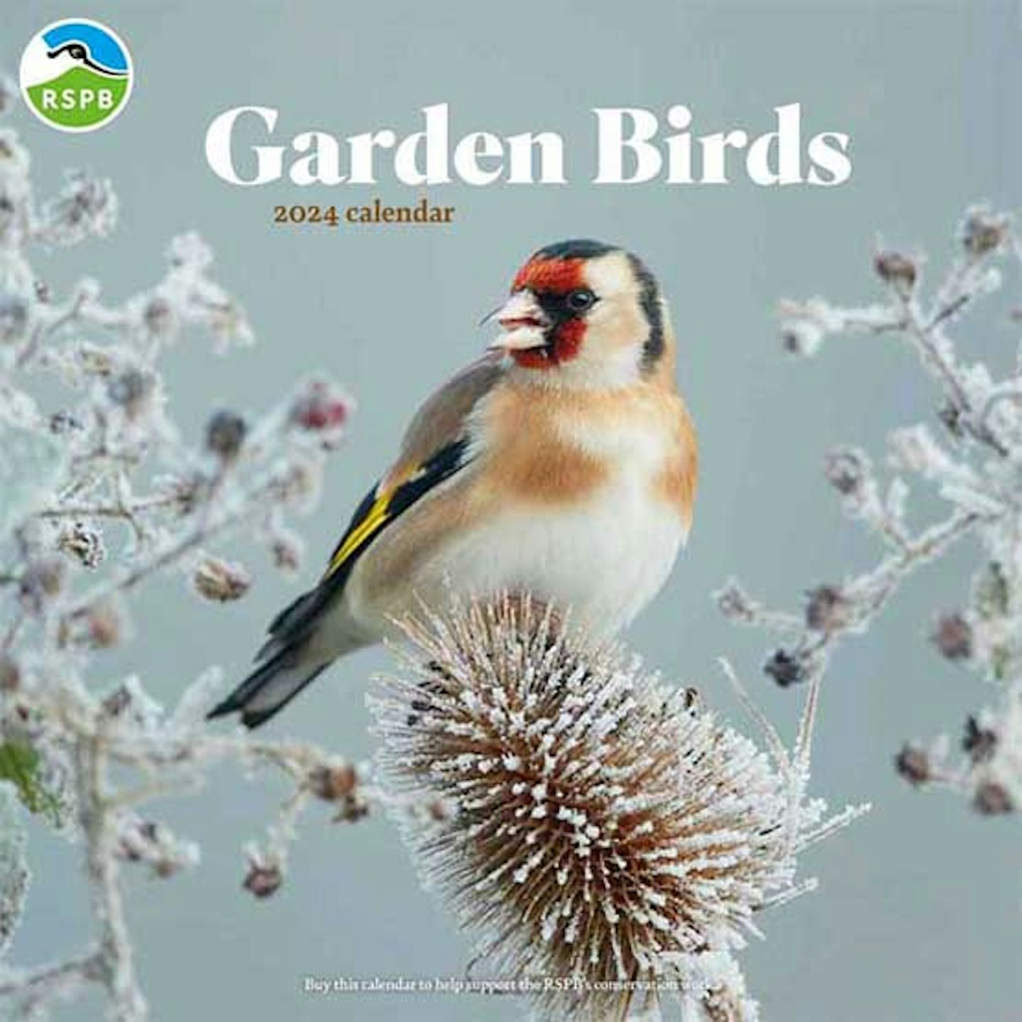 The best bird-watching gifts: 2024 bird calendar