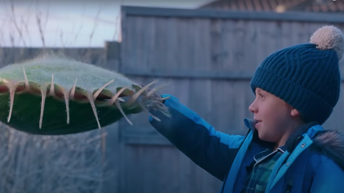 WATCH the John Lewis Christmas advert is here!