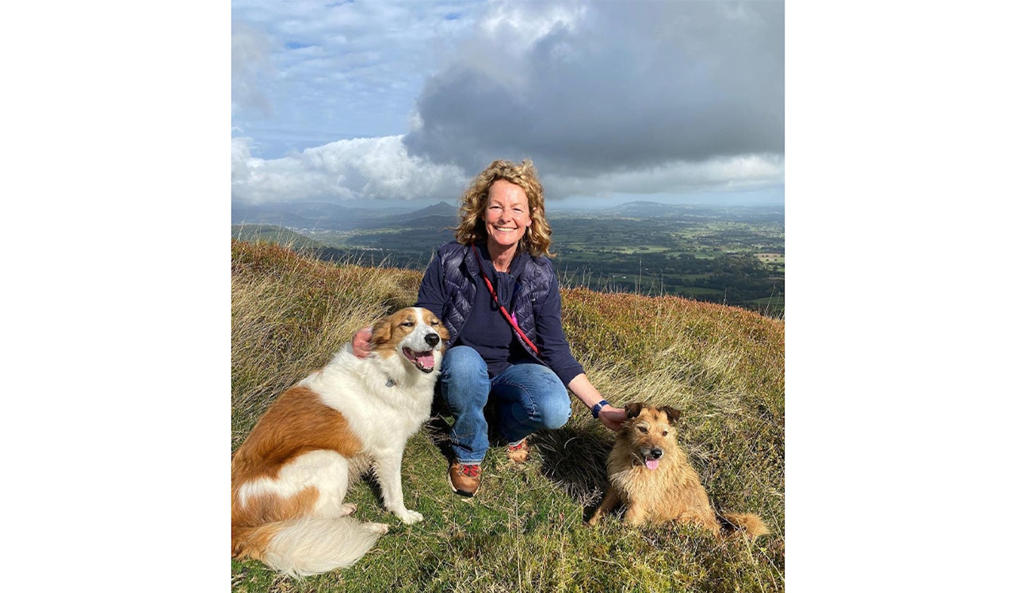 Kate Humble dogs