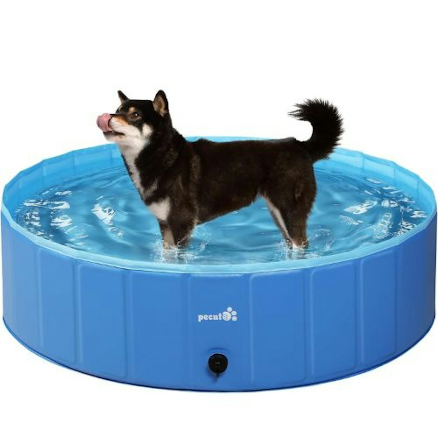 Pecute Paddling Pool for Dogs