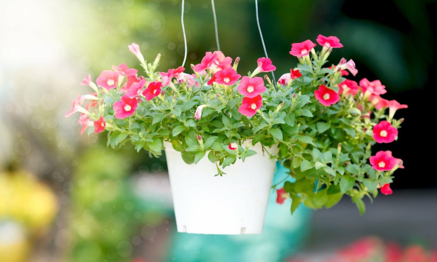 front porch ideas hanging basket-min