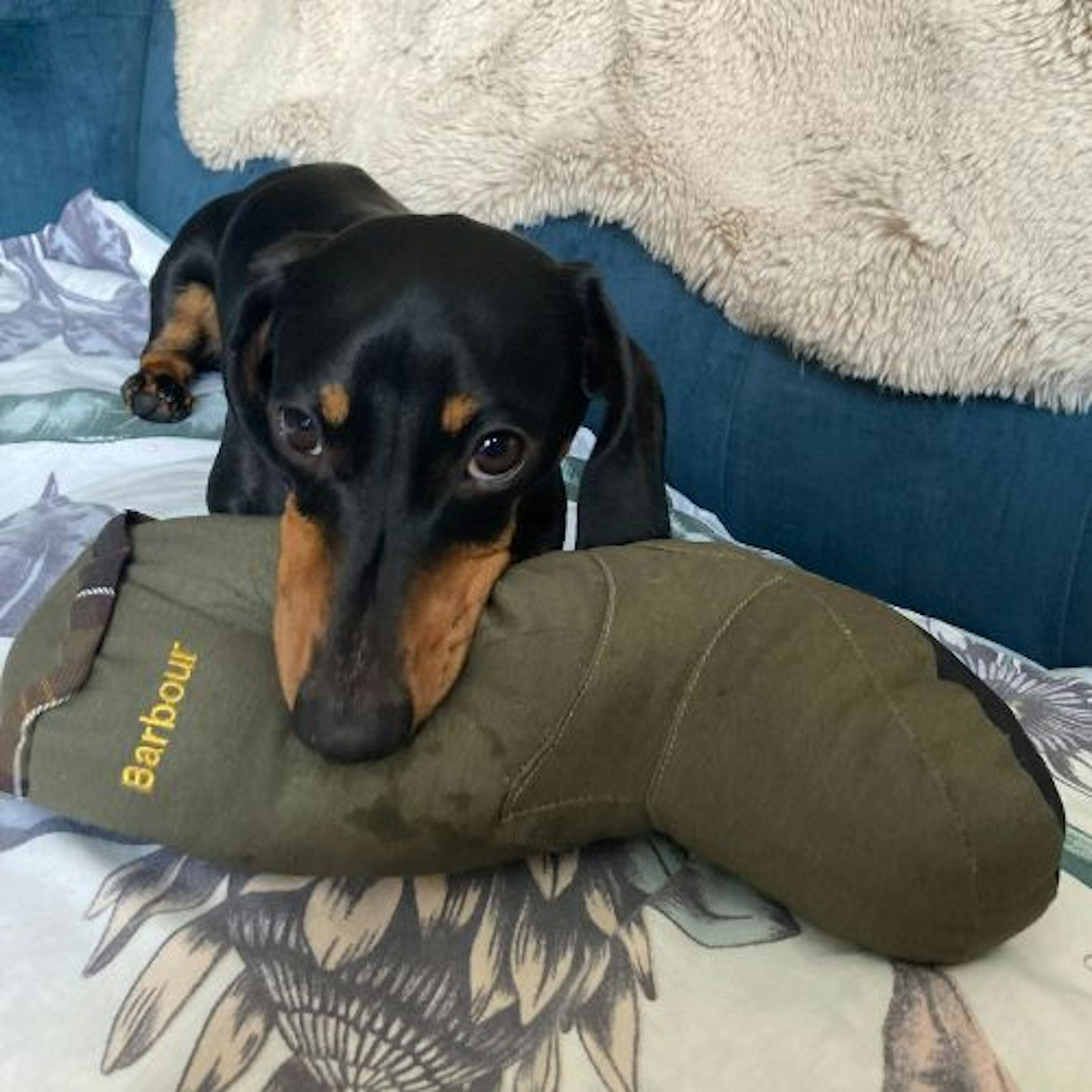 Barbour Dog Toy Wellington Boot