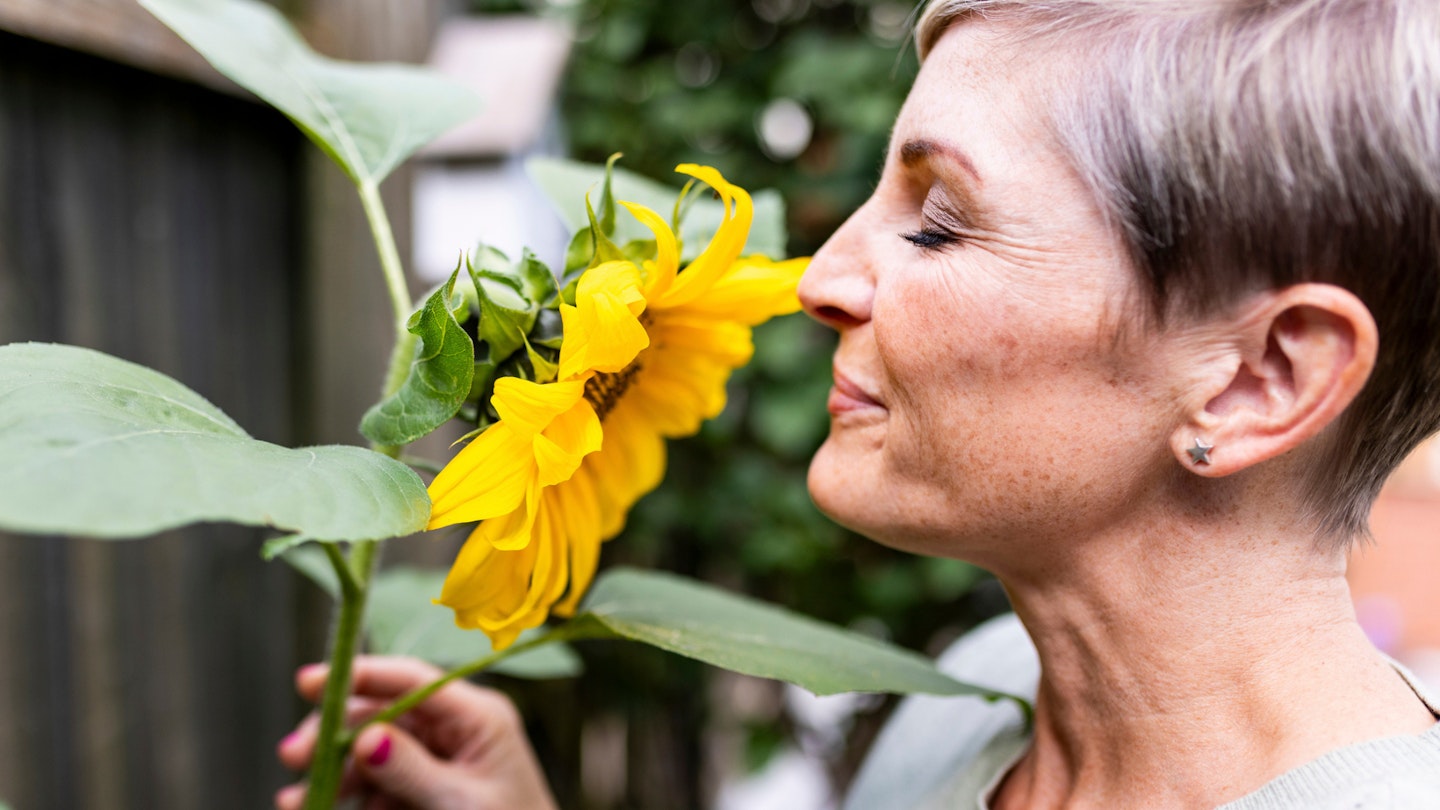 Smiling woman smelling sunflower in garden - stock photo