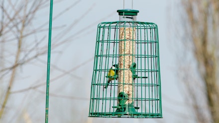 Image: https://images.bauerhosting.com/affiliates/sites/9/2022/04/VIVARA.jpg?q=80&w=440&ar=16:9&fit=crop&crop=top VIVARA