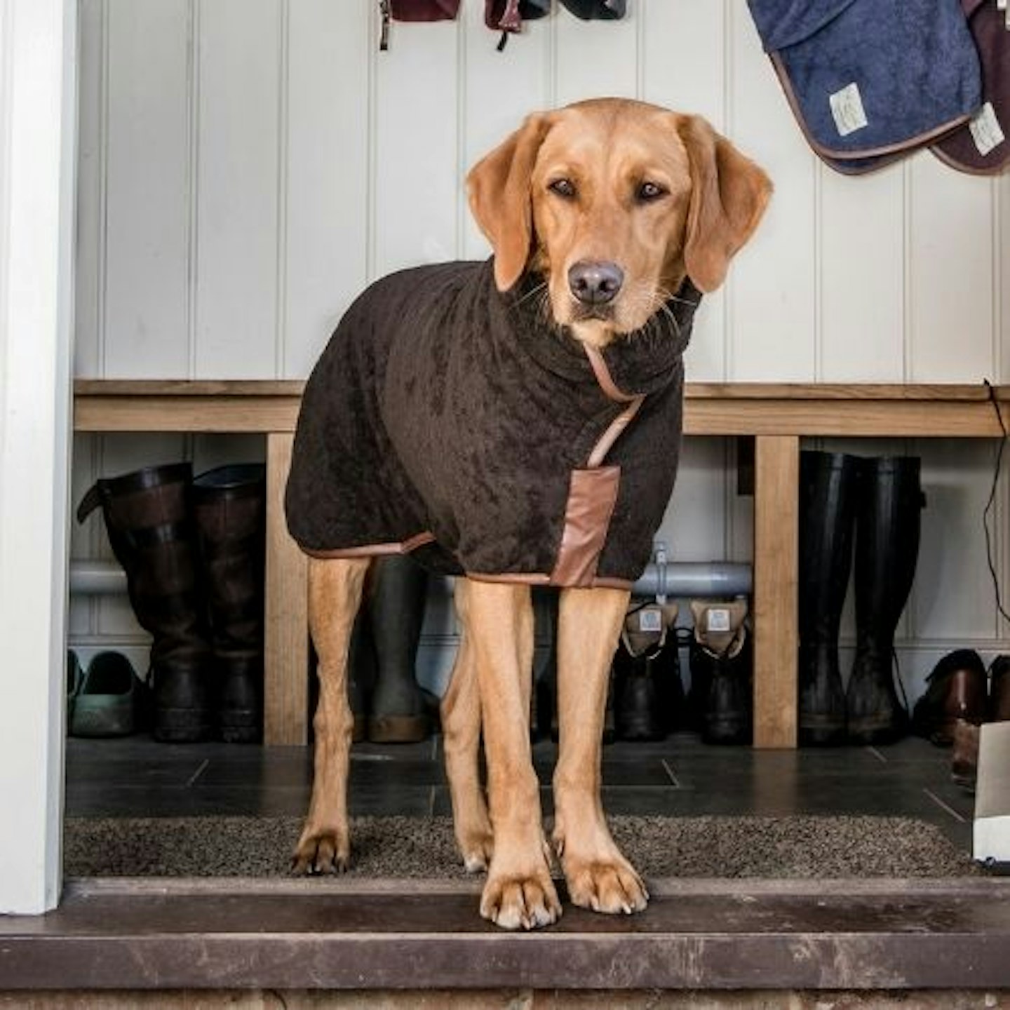 Ruff and Tumble Country Dog Drying Coat (faux leather trim)