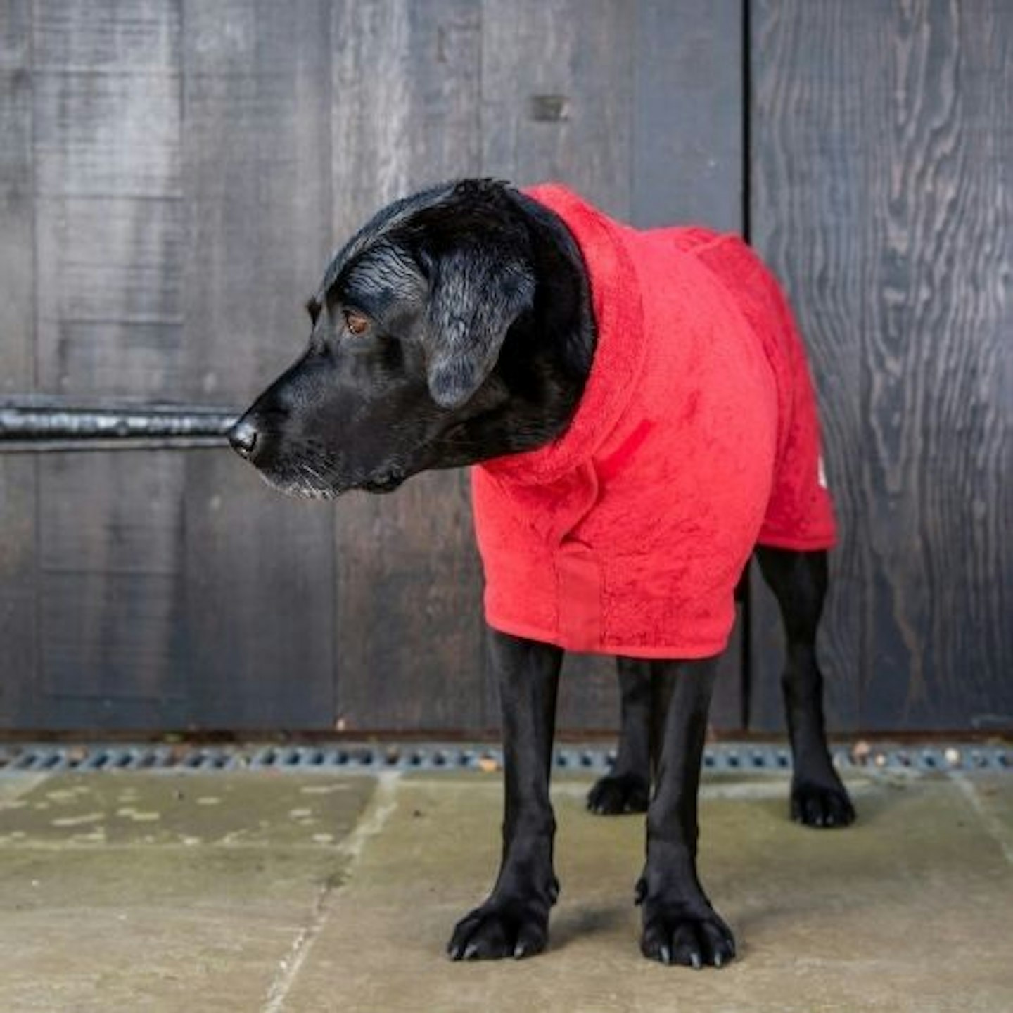 Ruff and Tumble Classic Dog Drying Coat (Fabric Trim)