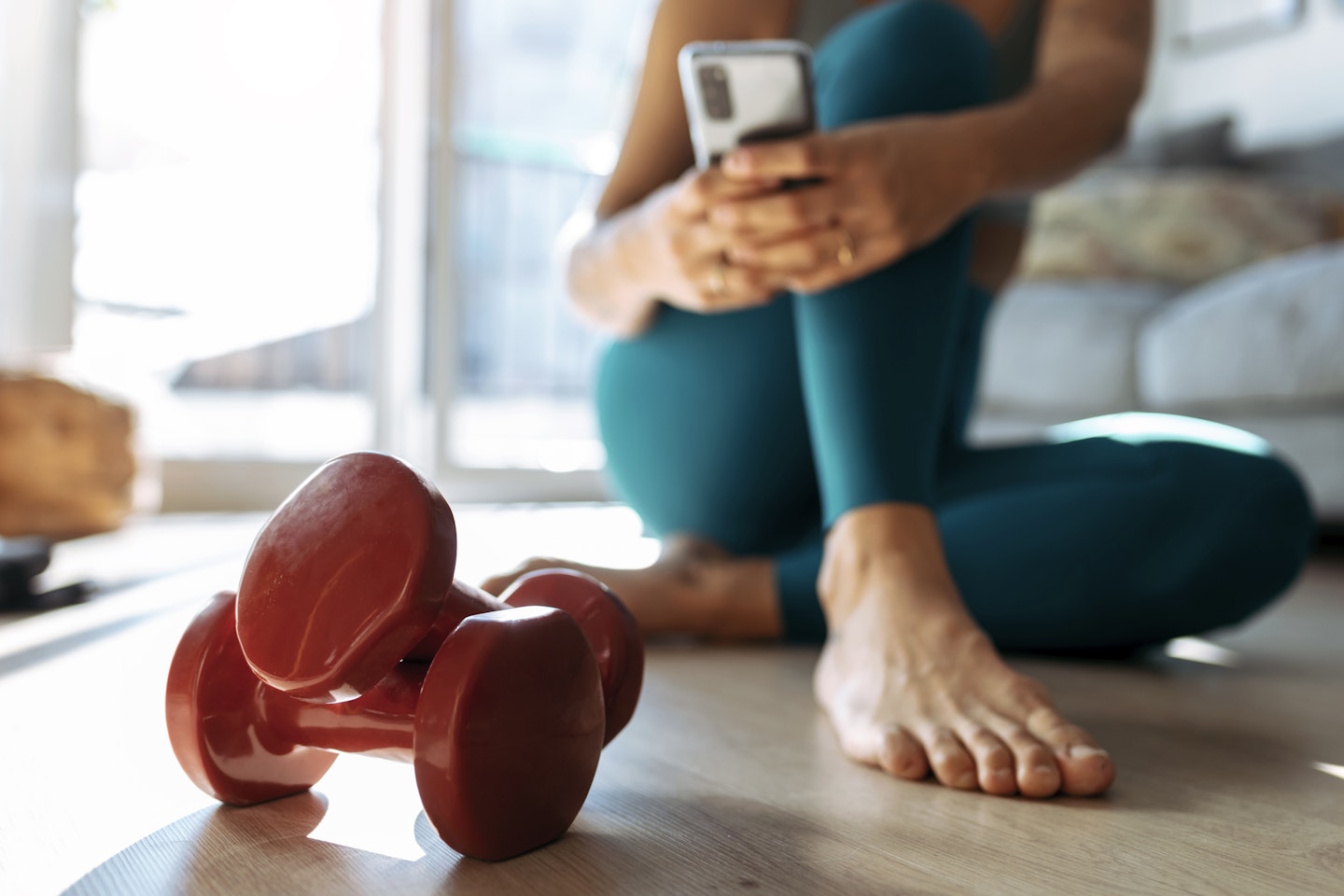 home gym equipment dumbbells