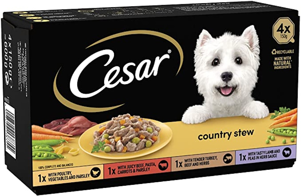 The best wet dog food UK 2023