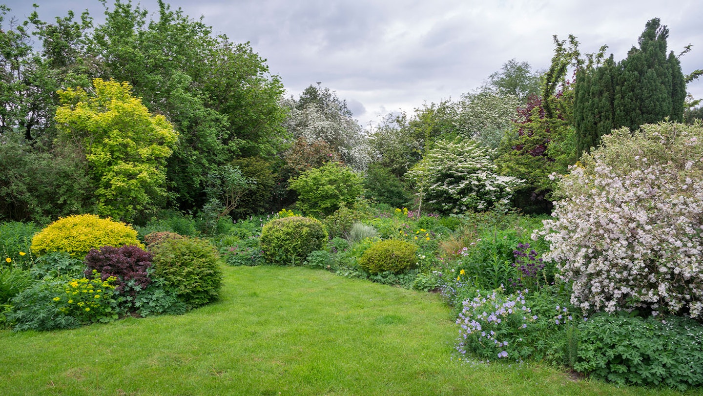 garden with shrubs