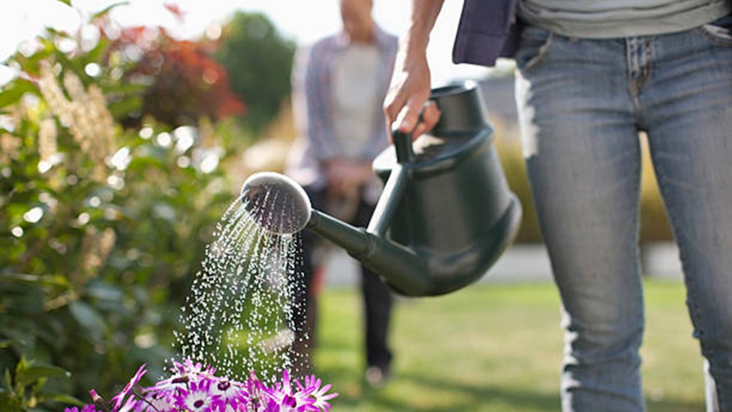 eco friendly watering