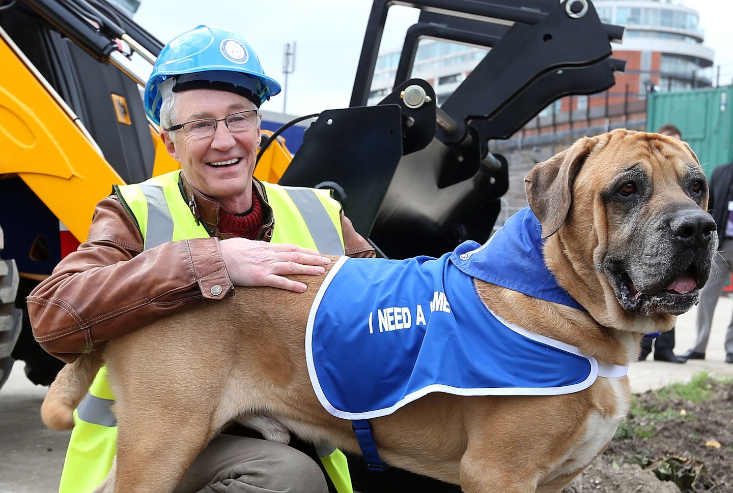 Paul O'Grady Battersea Dogs and Cats Home