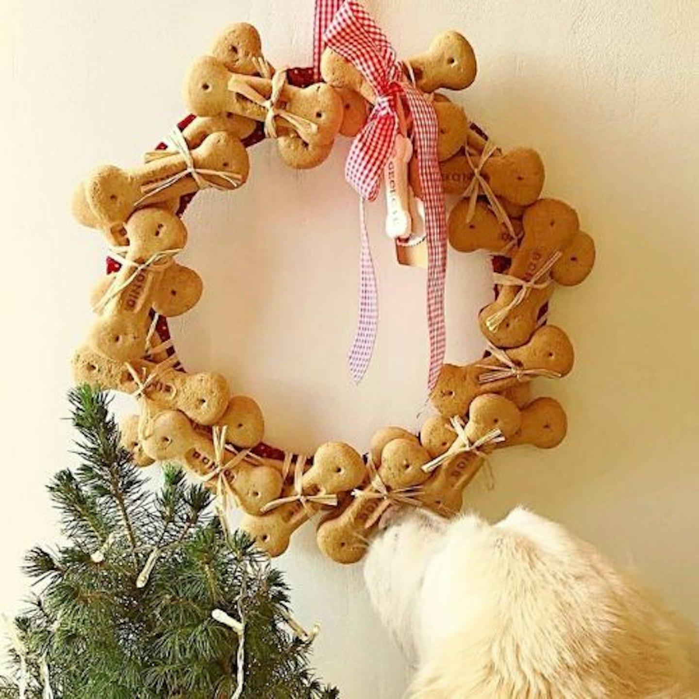 Personalised Dog Advent Calendar Wreath