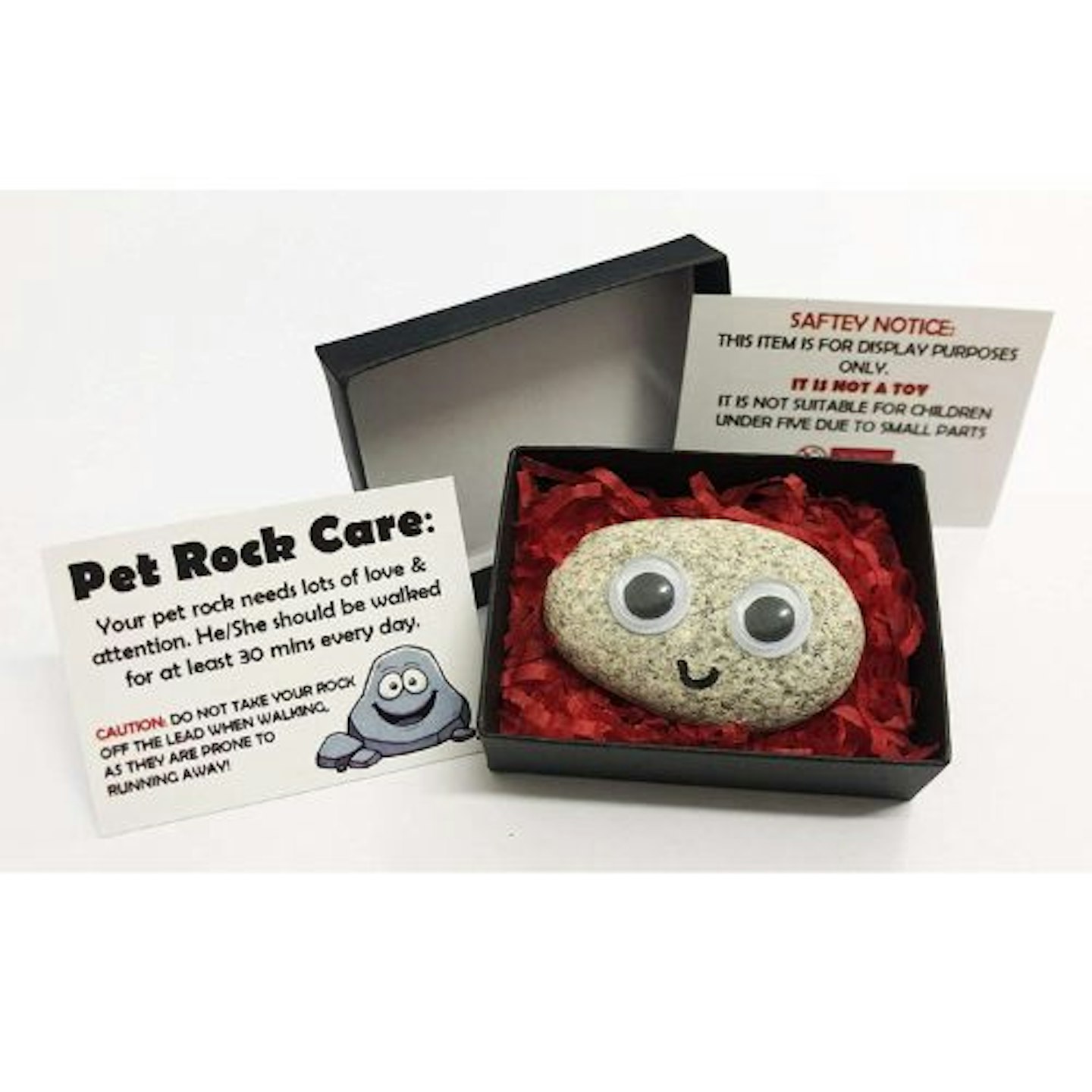 Pet Rock