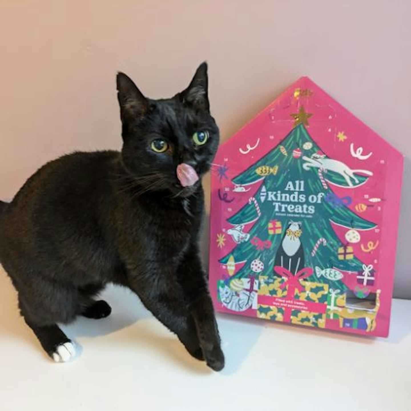 Pets at Home Christmas Cat Advent Calendar