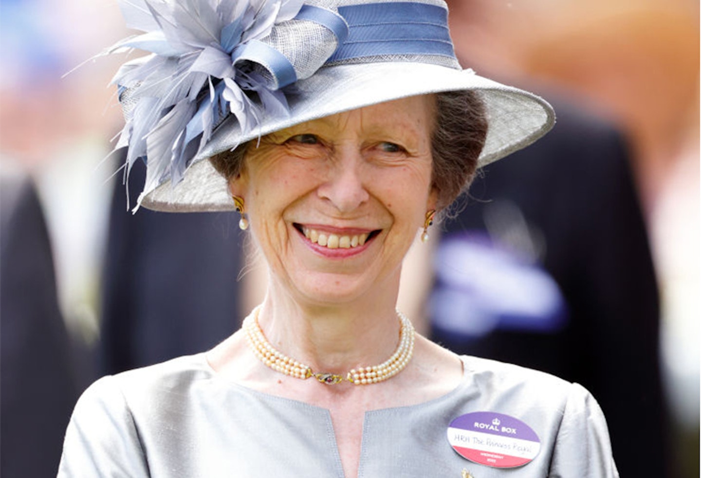 Princess Anne royal family tree