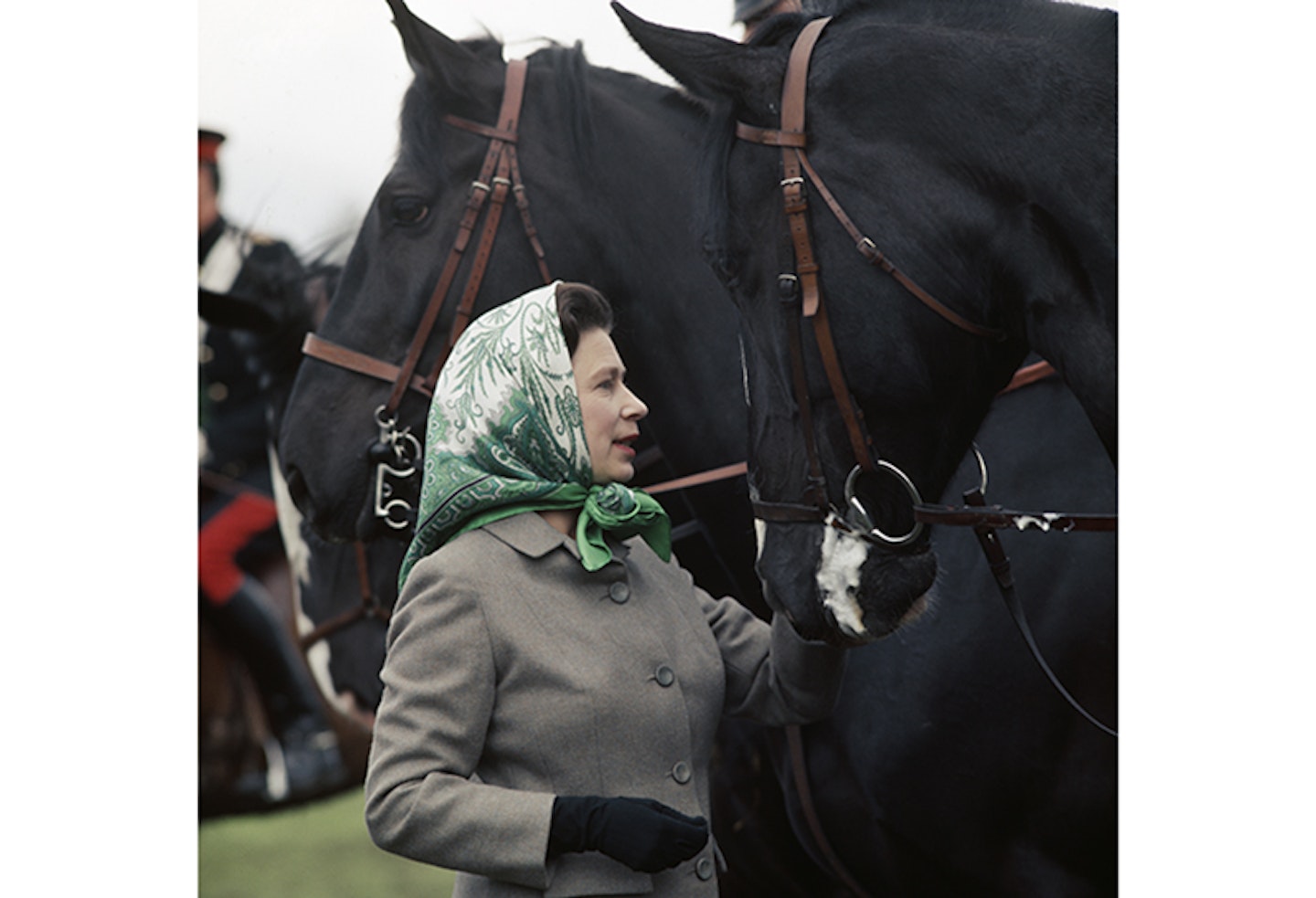 queen Elizabeth scarf