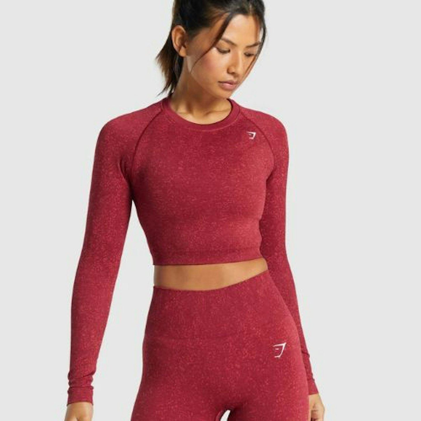 Adapt Fleck Seamless Long Sleeve Crop Top