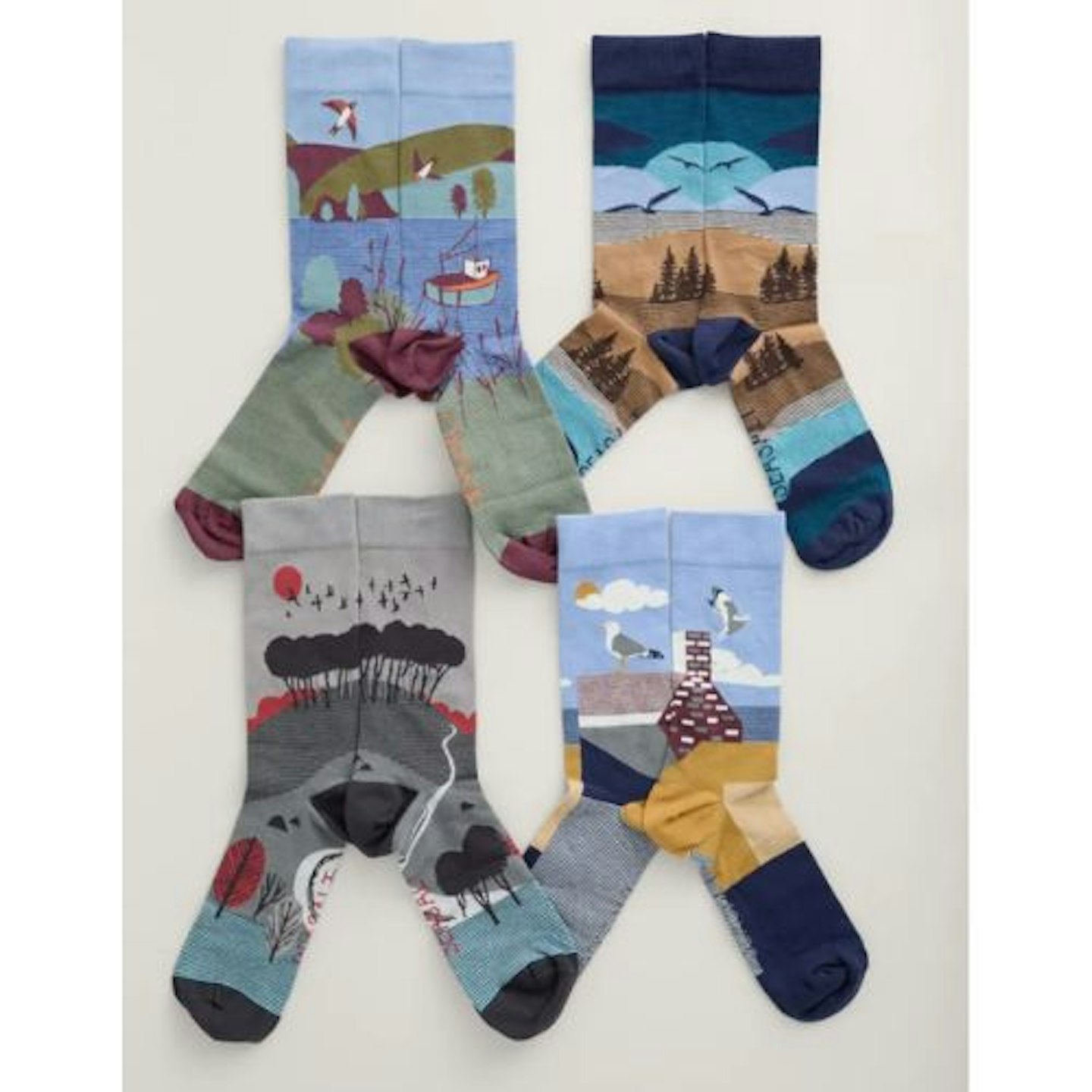 Box of 4 Men's Postcard Socks