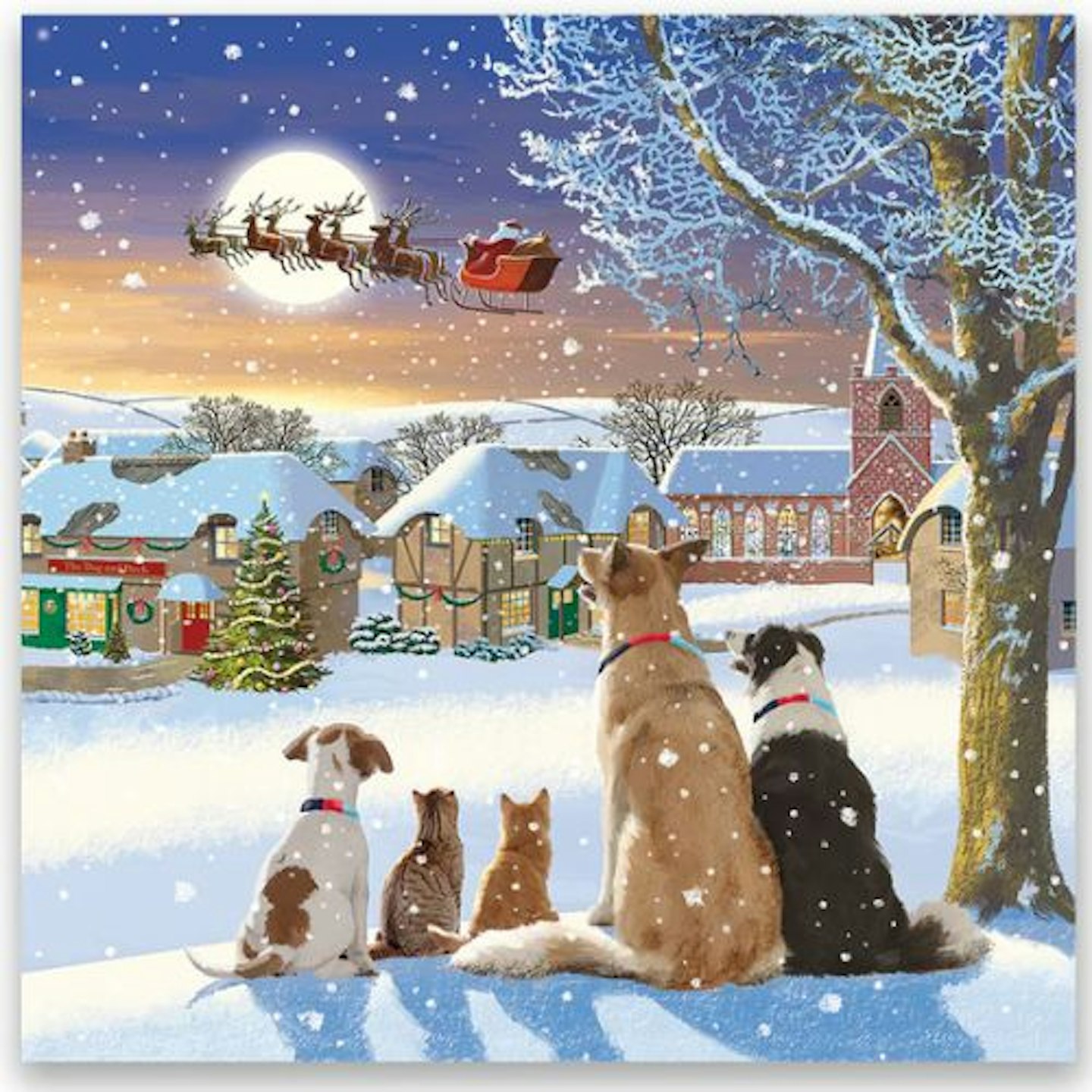 Dogs Watching Santa Charity Christmas Cards