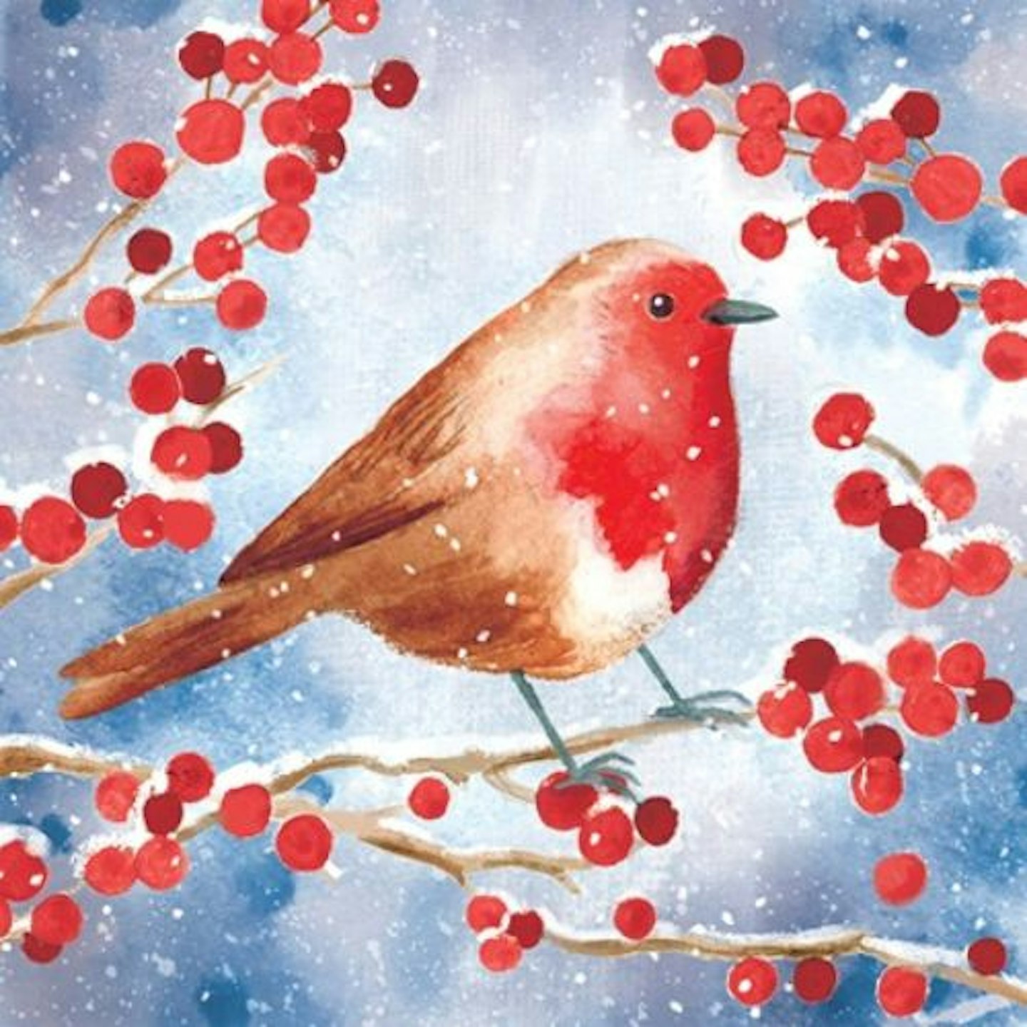 Ruby Robin Shelter Charity Christmas Cards