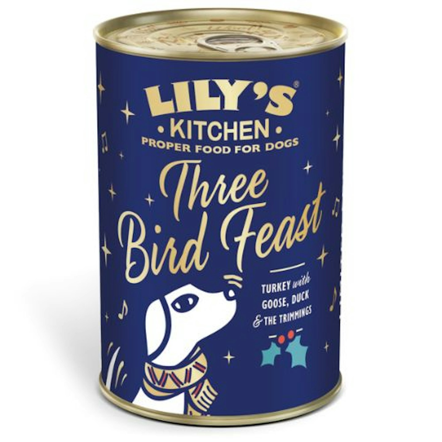 Lily's Kitchen Three-Bird Feast Christmas Dog Food