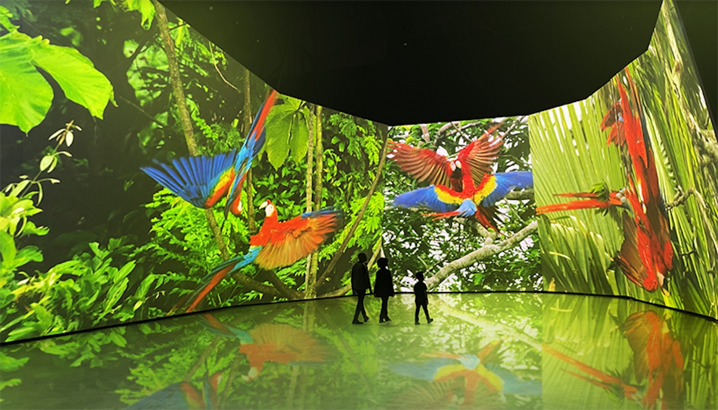 bbc earth experience immersive