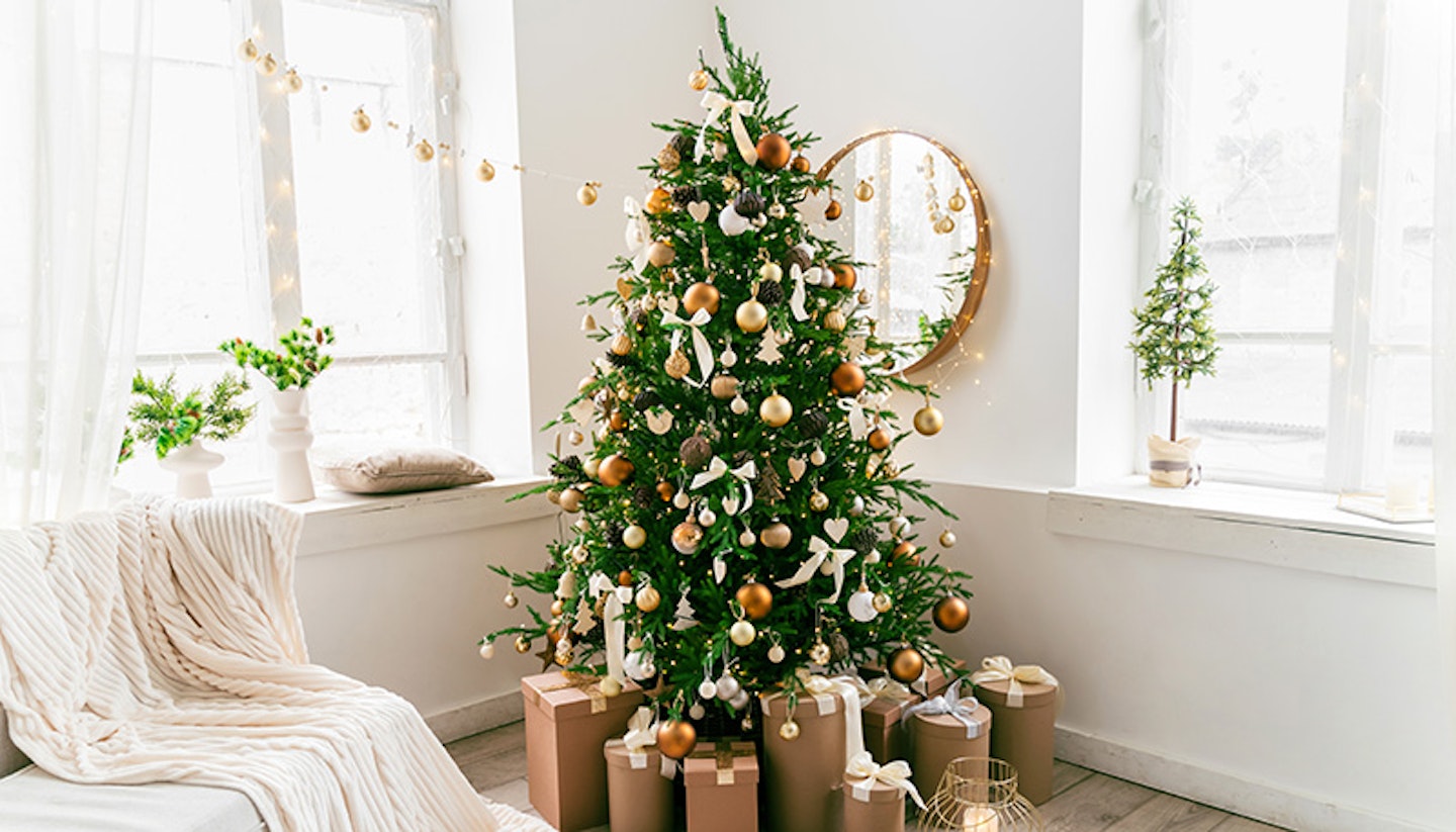 rent a christmas tree