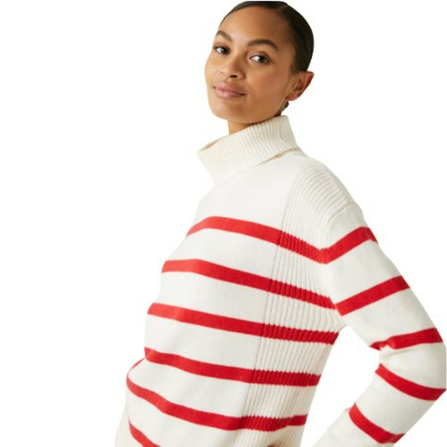 Cotton Rich Striped Roll Neck Jumper