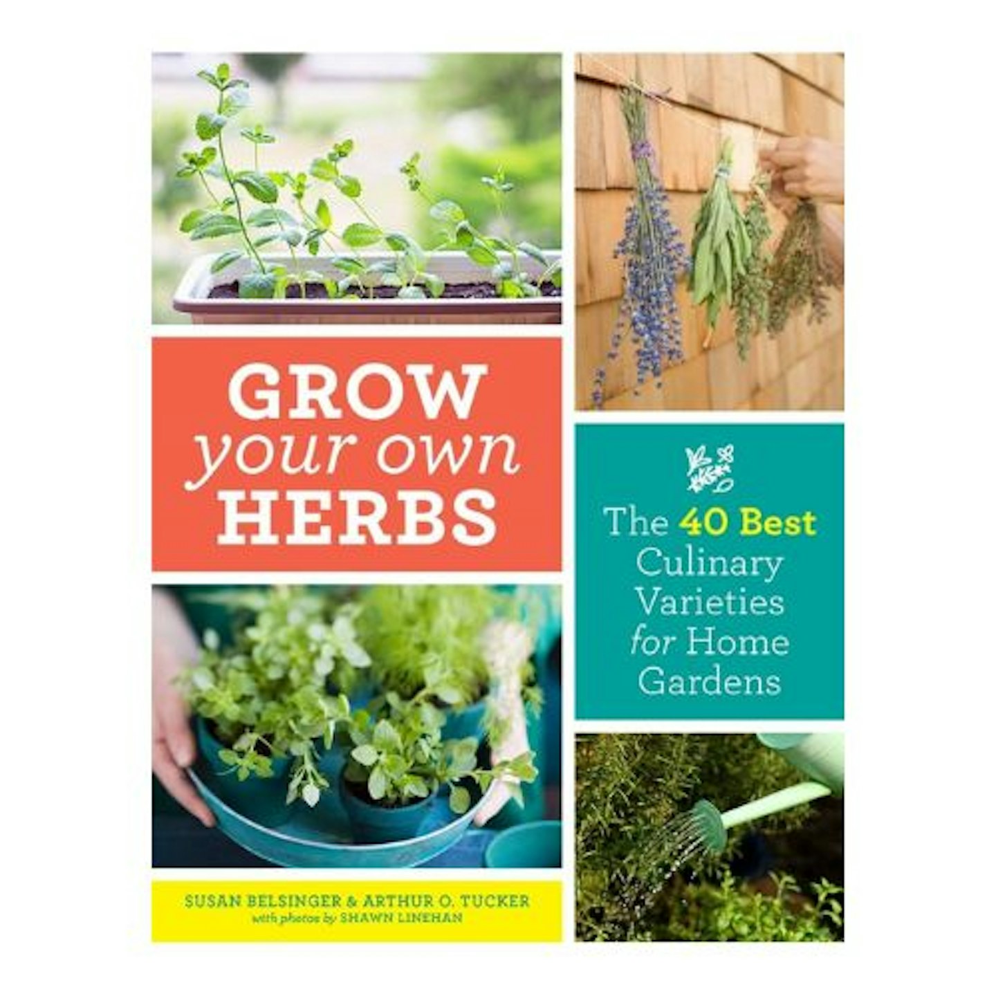 best-herb-garden-ideas-uk-seeds-book