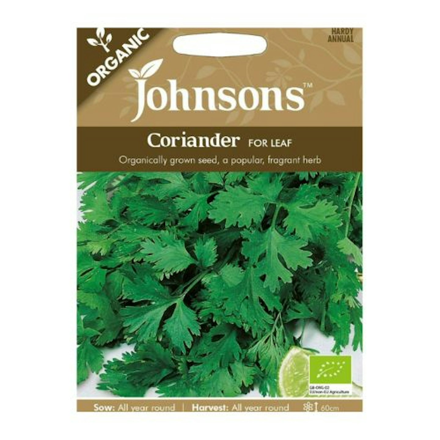 best-herb-garden-ideas-uk-seeds-coriander