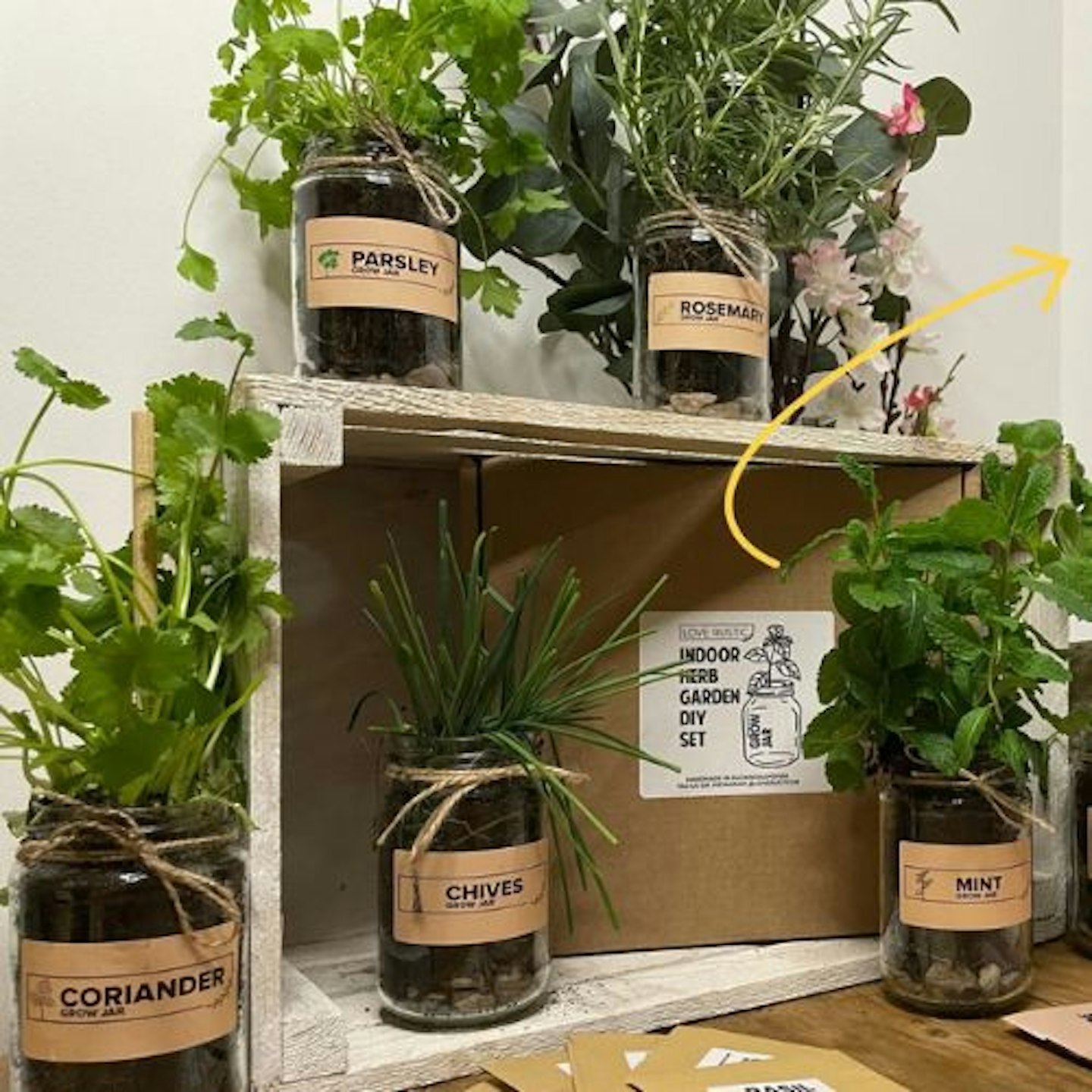 etsy-best-herb-garden-growing-kit-eco