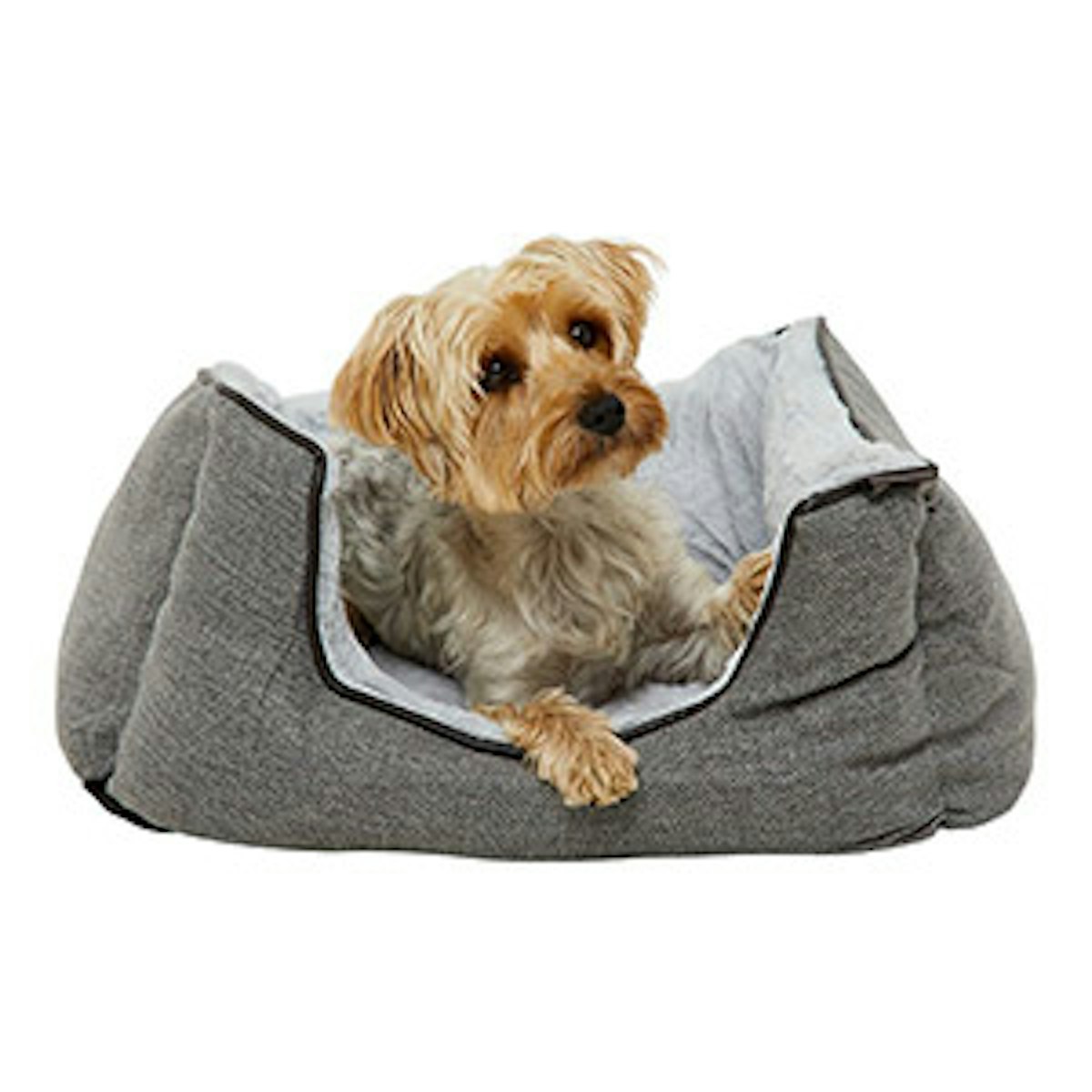 The best antianxiety dog beds
