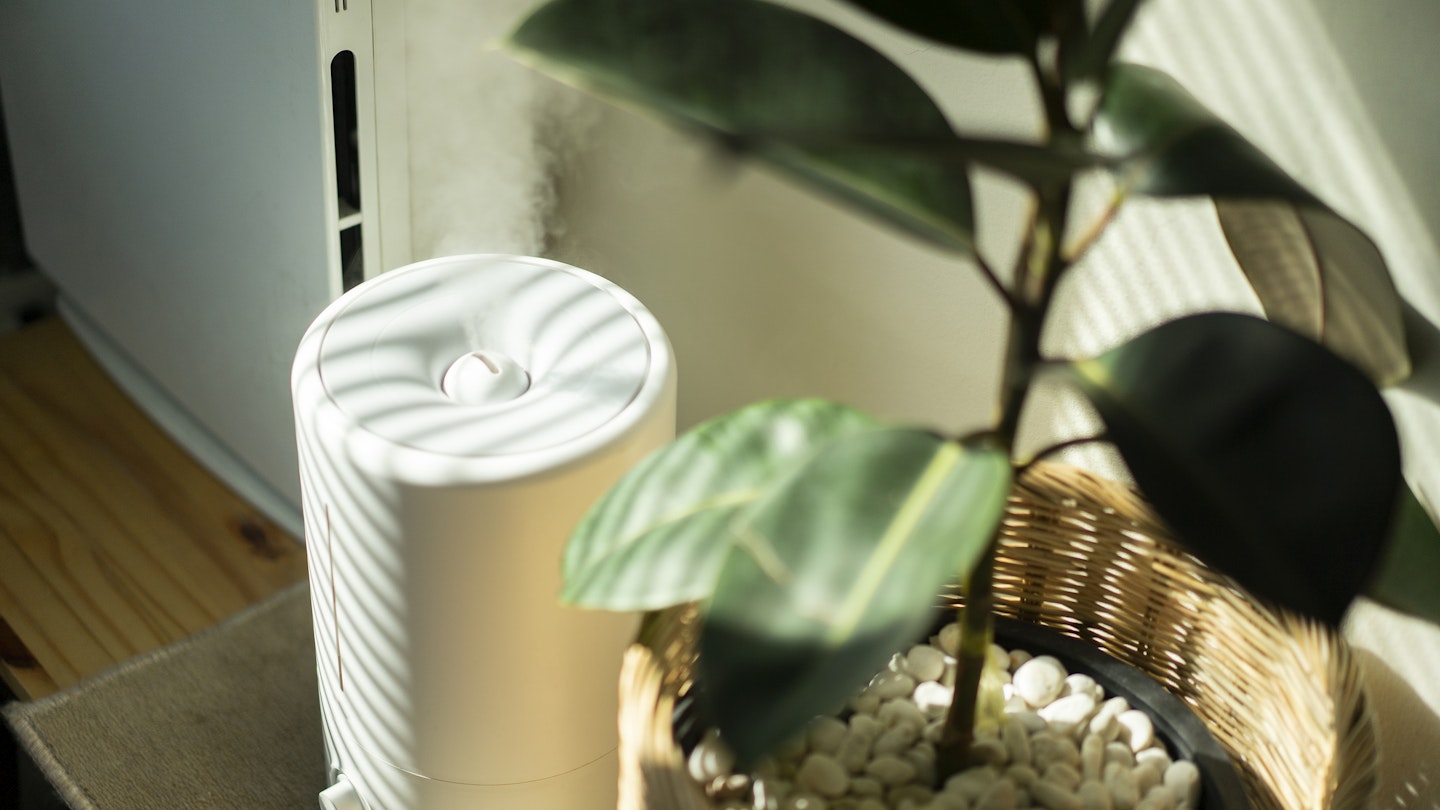 Close up Air Humidifier machine with Air Purifier tree with light from window - stock photo