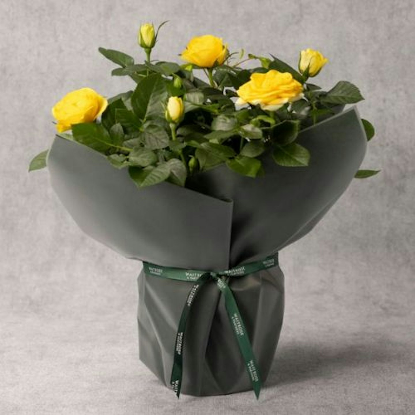 Gift Wrapped Yellow Rose