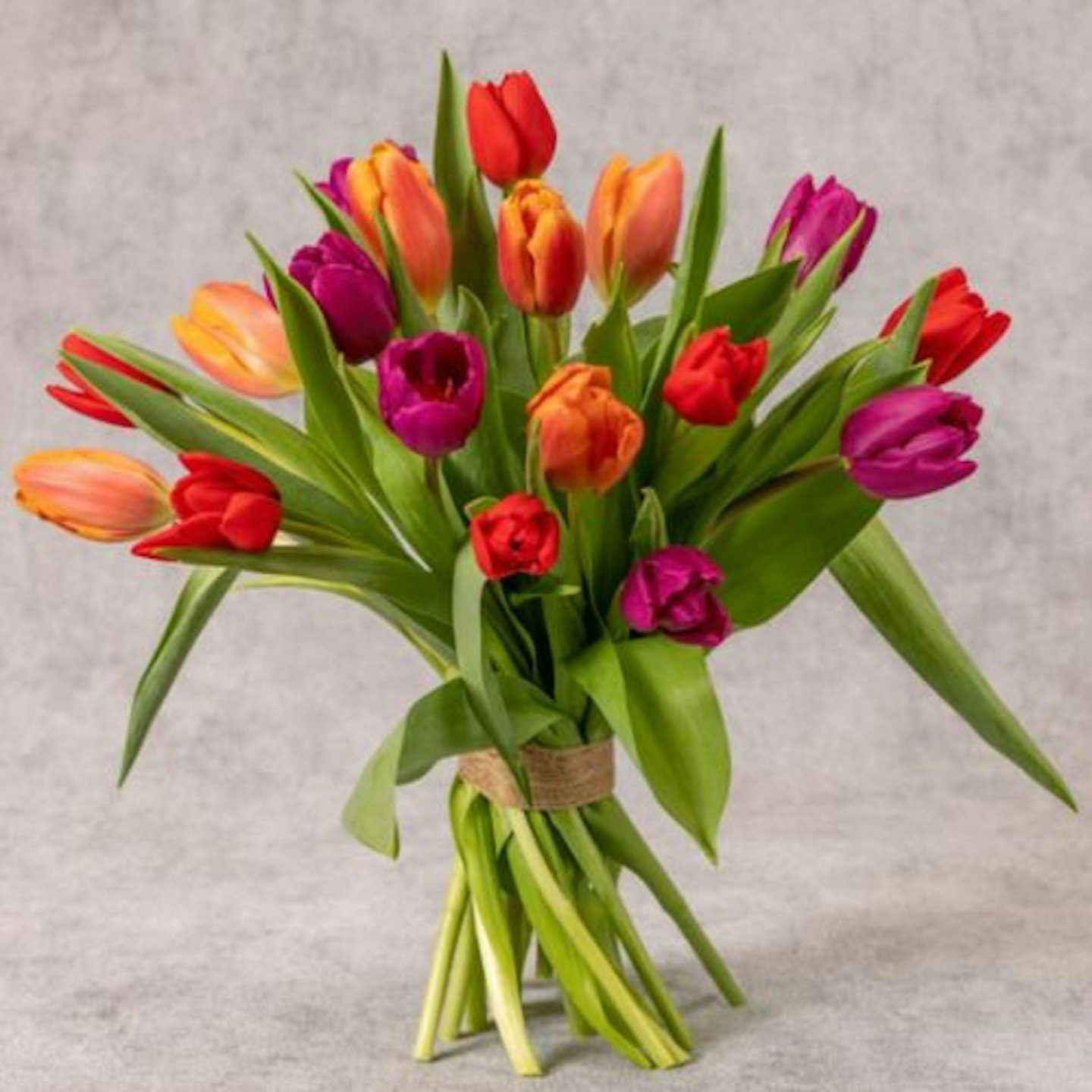 Waitrose British Tulips