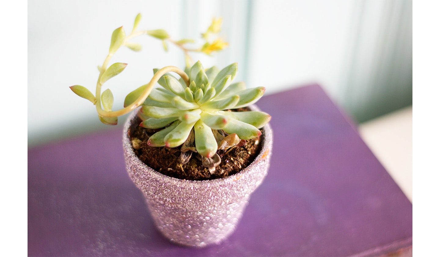 glitter plant pot