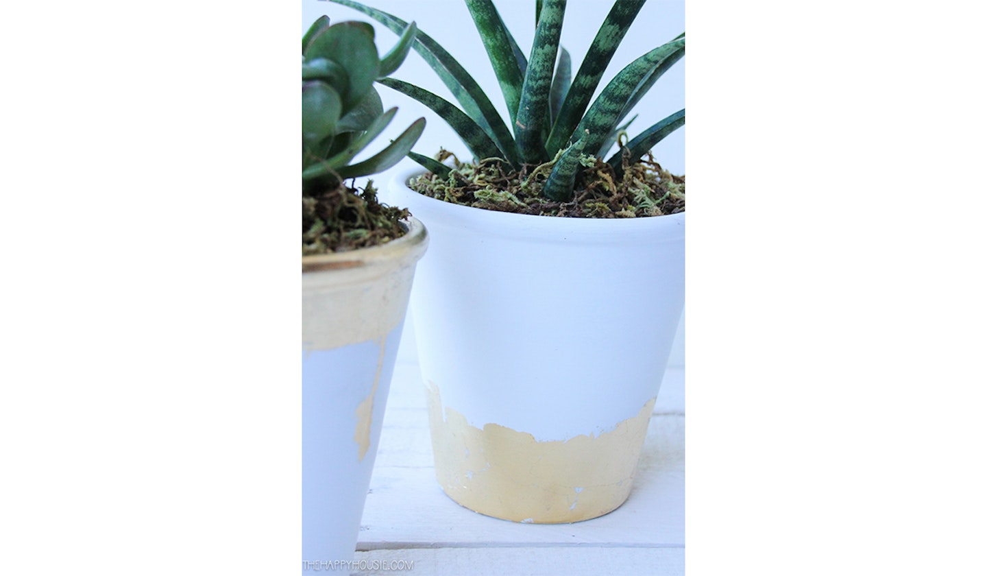 gold leaf plant pot