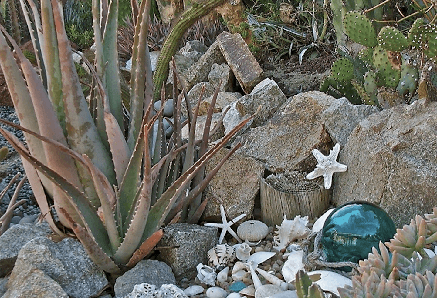 coastal rockery