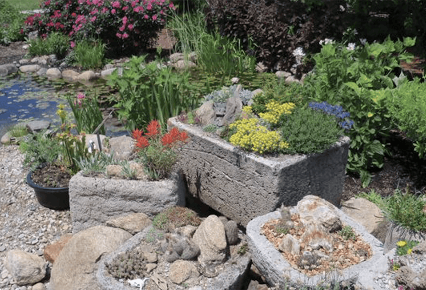 container gardening