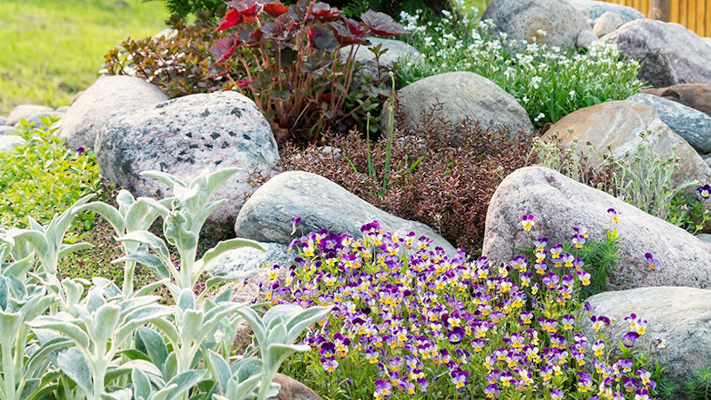 Layouts With Rocks Rock Garden Layouts 25 Most Creative And Inspiring Rock Garden